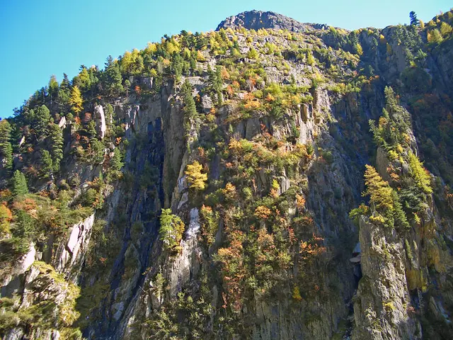 Die Wanderzeit