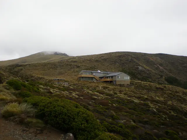Kepler Track